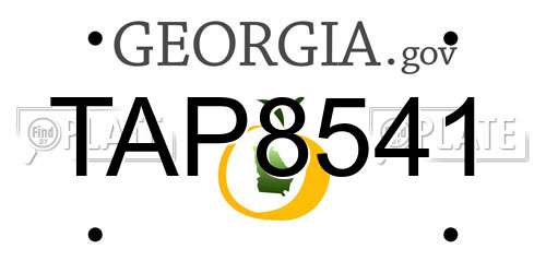 TAP8541 Georgia License Plate