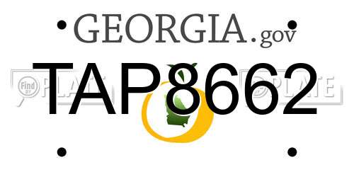TAP8662 Georgia License Plate