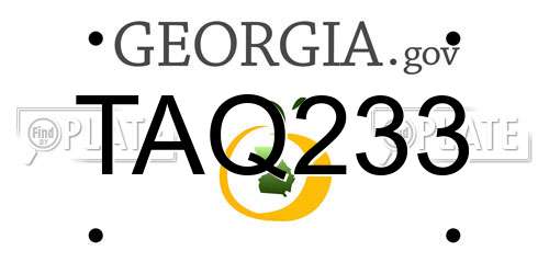 TAQ233 Georgia License Plate
