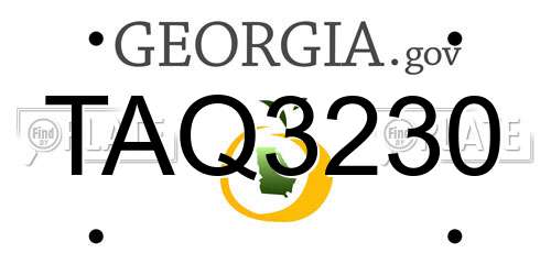 TAQ3230 Georgia License Plate
