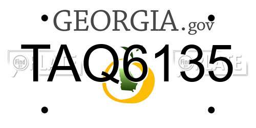 TAQ6135 Georgia License Plate