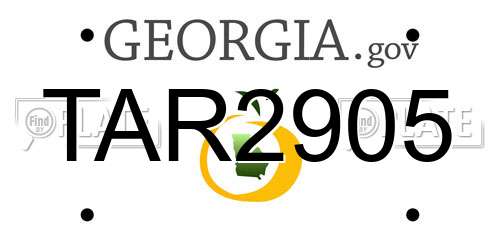 TAR2905 Georgia License Plate
