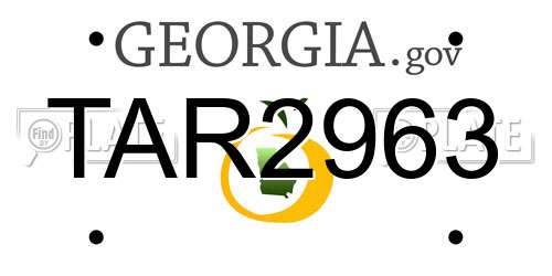 TAR2963 Georgia License Plate