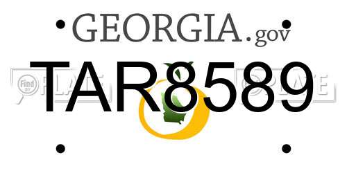 TAR8589 Georgia License Plate
