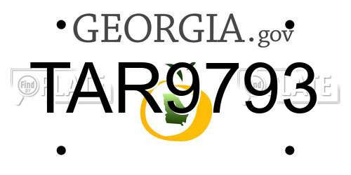 TAR9793 Georgia License Plate