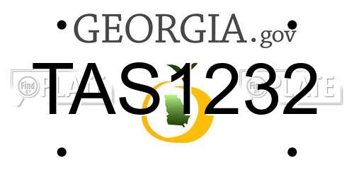 TAS1232 Georgia License Plate
