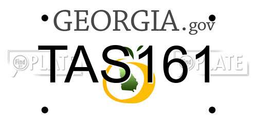 TAS161 Georgia License Plate