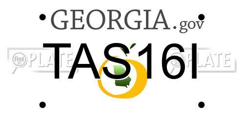 TAS16I Georgia License Plate