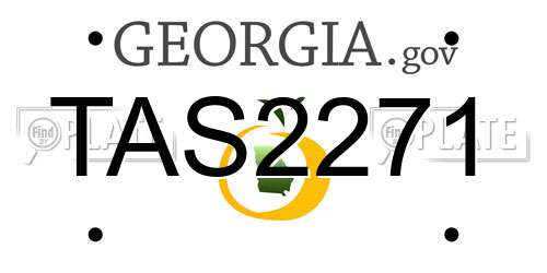 TAS2271 Georgia License Plate