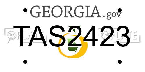 TAS2423 Georgia License Plate