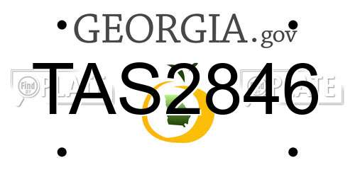 TAS2846 Georgia License Plate