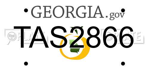 TAS2866 Georgia License Plate