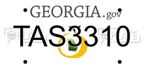TAS3310 Georgia License Plate