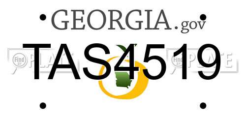 TAS4519 Georgia License Plate