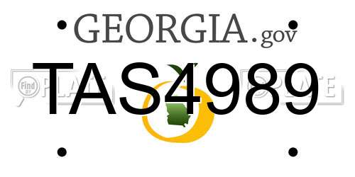 TAS4989 Georgia License Plate