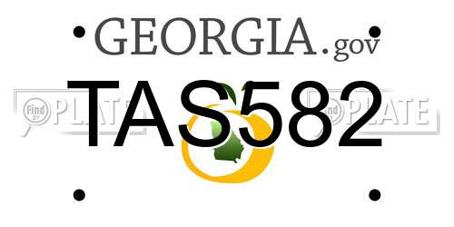 TAS582 Georgia License Plate