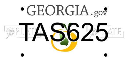 TAS625 Georgia License Plate