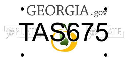 TAS675 Georgia License Plate