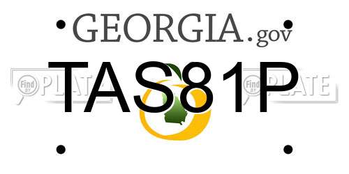 TAS81P Georgia License Plate