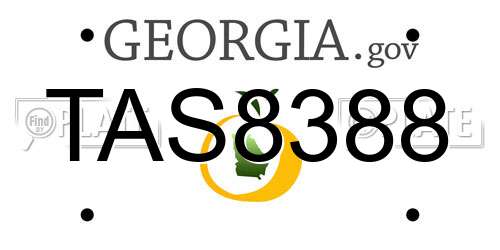 TAS8388 Georgia License Plate