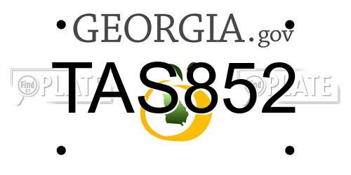 TAS852 Georgia License Plate