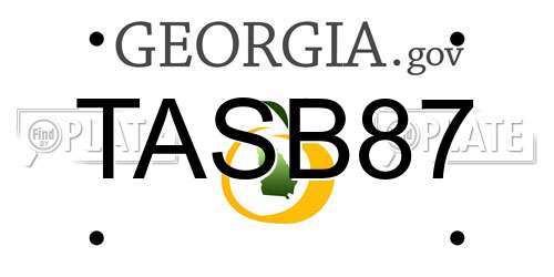 TASB87 Georgia License Plate