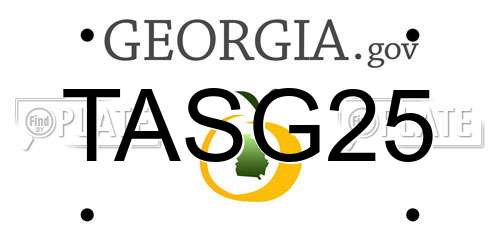 TASG25 Georgia License Plate