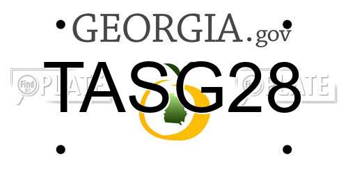 TASG28 Georgia License Plate