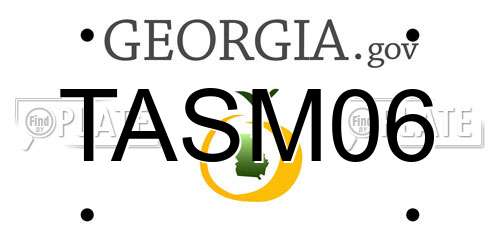 TASM06 Georgia License Plate