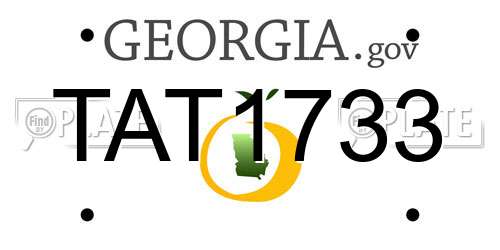 TAT1733 Georgia License Plate