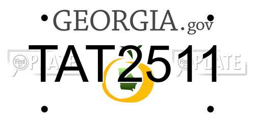 TAT2511 Georgia License Plate
