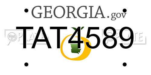 TAT4589 Georgia License Plate