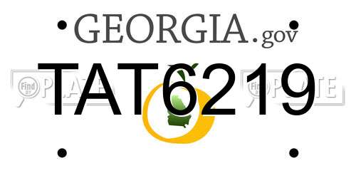 TAT6219 Georgia License Plate