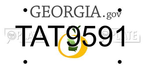TAT9591 Georgia License Plate