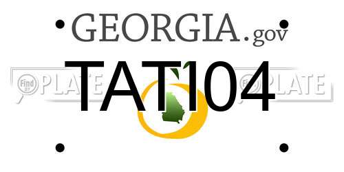 TATI04 Georgia License Plate
