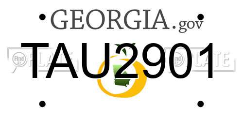 TAU2901 Georgia License Plate
