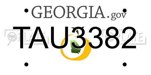 TAU3382 Georgia License Plate