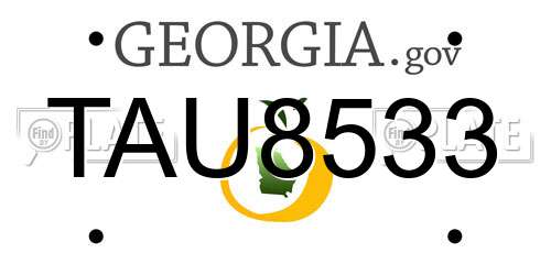 TAU8533 Georgia License Plate