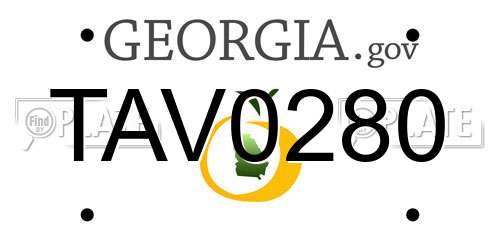 TAV0280 Georgia License Plate