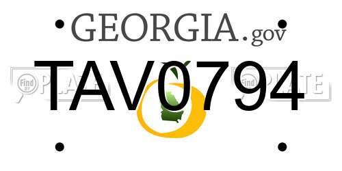 TAV0794 Georgia License Plate