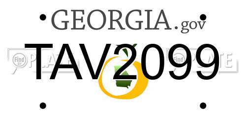TAV2099 Georgia License Plate