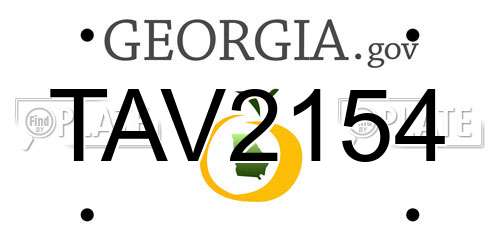 TAV2154 Georgia License Plate