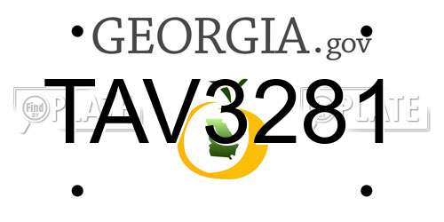 TAV3281 Georgia License Plate