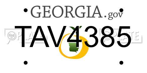 TAV4385 Georgia License Plate