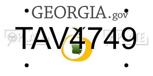 TAV4749 Georgia License Plate
