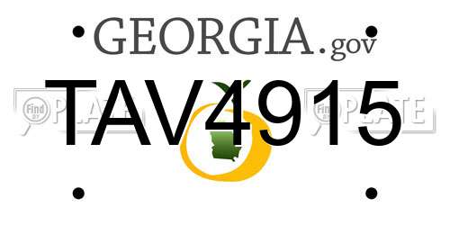 TAV4915 Georgia License Plate