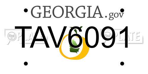 TAV6091 Georgia License Plate