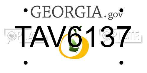 TAV6137 Georgia License Plate