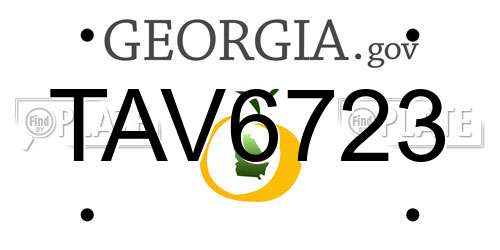 TAV6723 Georgia License Plate
