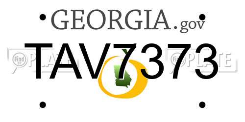 TAV7373 Georgia License Plate